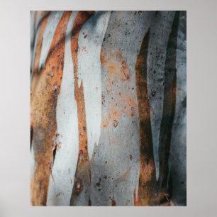 Brown and gray tree trunk poster