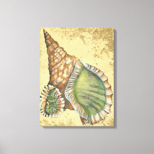 Brown and Green Seashell Canvas Print