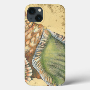 Brown and Green Seashell iPhone 13 Case