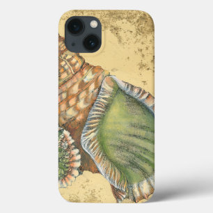 Brown and Green Seashell iPhone 13 Case