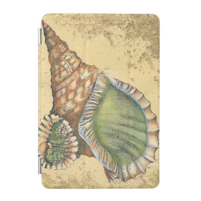 Brown and Green Seashell iPad Mini Cover (Front)
