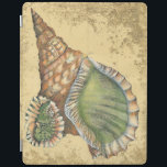 Brown and Green Seashell iPad Smart Cover<br><div class="desc">If you can't get to the beach today,  get this classic style image of this unique green and brown seashell today! This seashell by the ocean is surrounded by warm sand in this painting and would go great on any nautical products.</div>