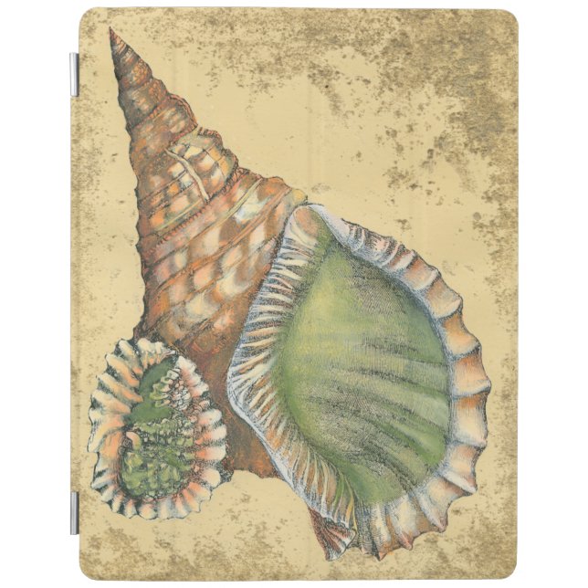 Brown and Green Seashell iPad Smart Cover (Front)