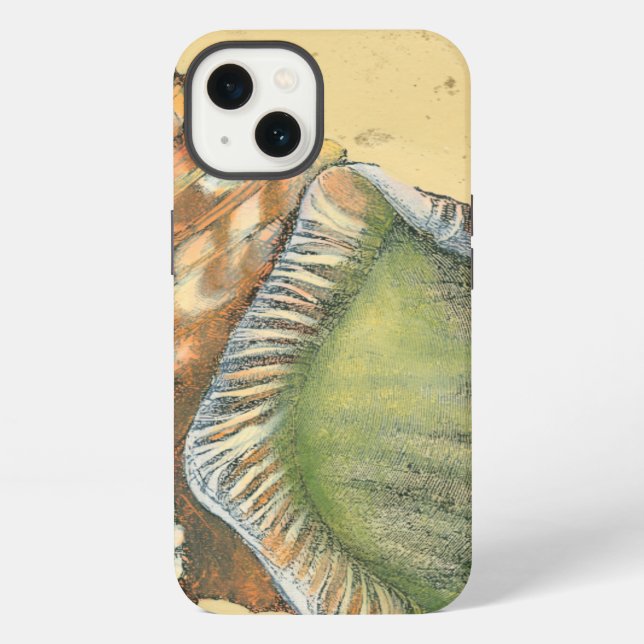 Brown and Green Seashell Iphone Case (Back)