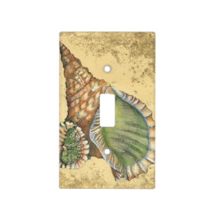 Brown and Green Seashell Light Switch Cover