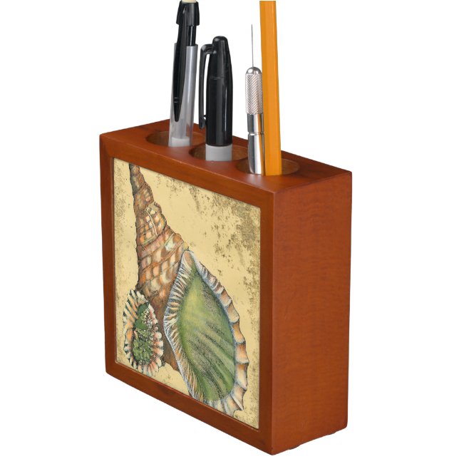 Brown and Green Seashell Pencil Holder (In Situ)