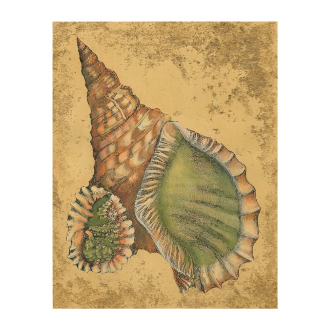 Brown and Green Seashell Wood Wall Decor (Front)