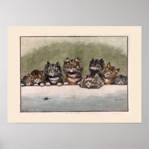 Brown and Grey Tabby Kittens Poster