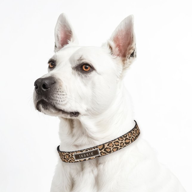Brown and Leopard Print Custom Monogram Pet Collar (Creator Uploaded)