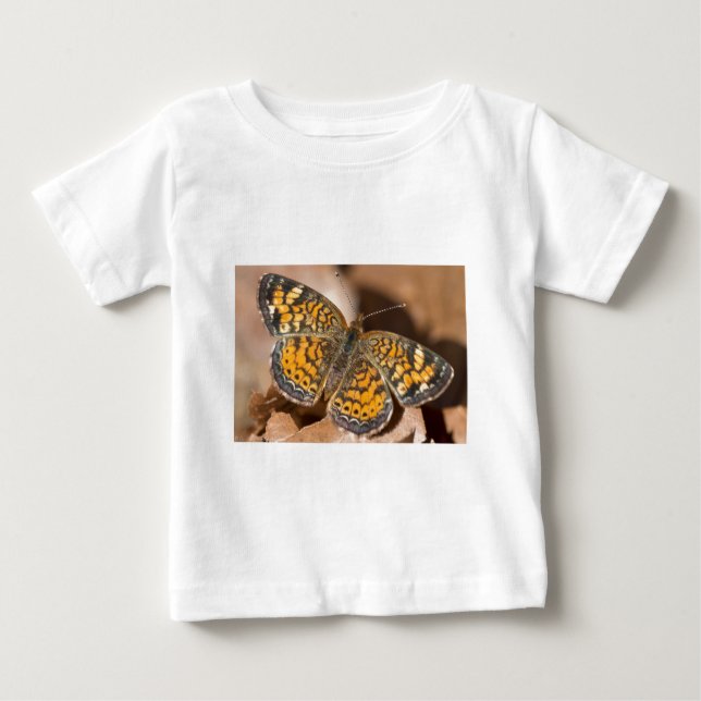 Brown and Orange Moth Apparel and Gifts Baby T-Shirt (Front)