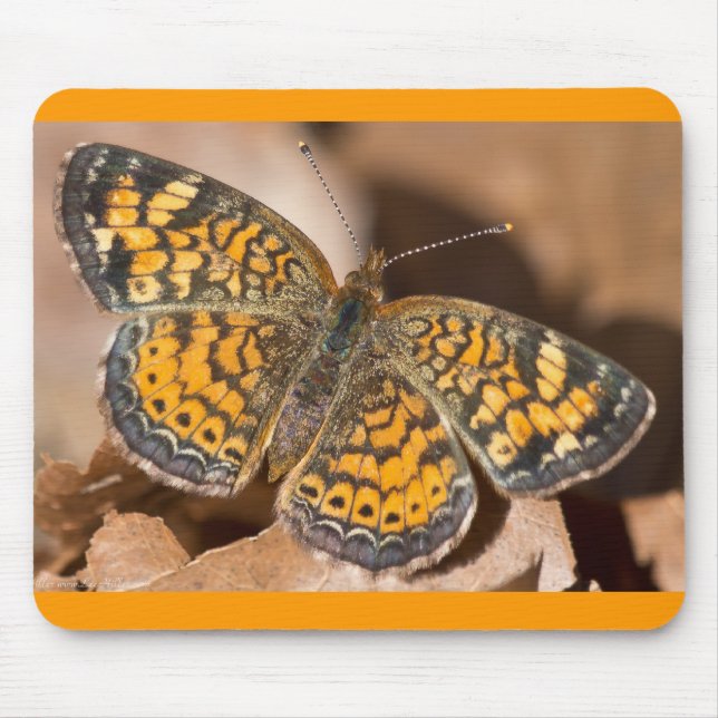 Brown and Orange Moth Apparel and Gifts Mouse Pad (Front)