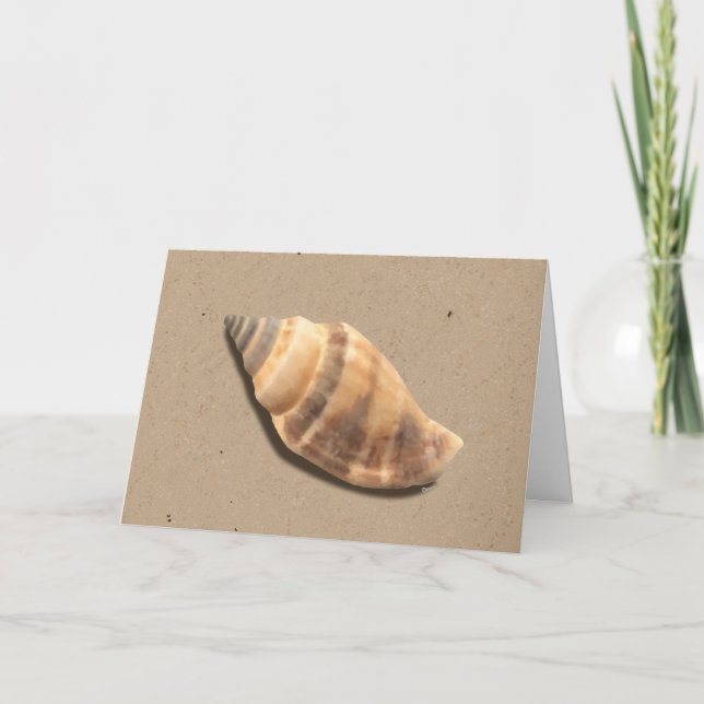 Brown and Tan Striped Conch Shell Greeting Card (Front)