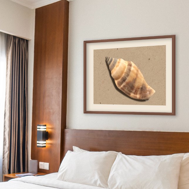 Brown and Tan Striped Conch Shell Print (Creator Uploaded)