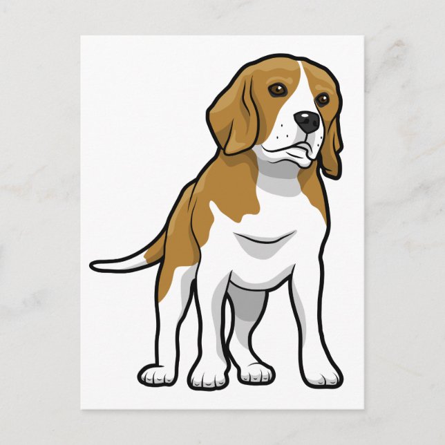 Brown and White Beagle Postcard (Front)