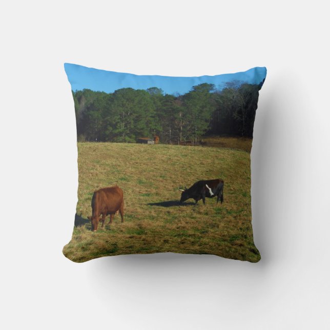 Brown and white & black longhorn steer throw pillow (Front)