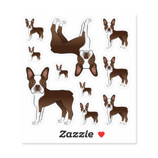 Brown And White Boston Terrier Dog Illustrations Sticker