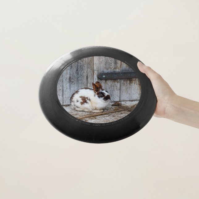 Brown and White Bunny  Rabbit on the Farm Wham-O Frisbee (In Hand)