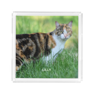 Brown and white cat acrylic tray