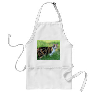 Brown and white cat adult apron