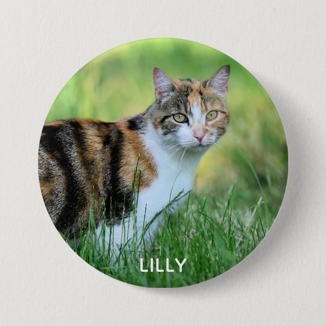 Brown and white cat button (Front)