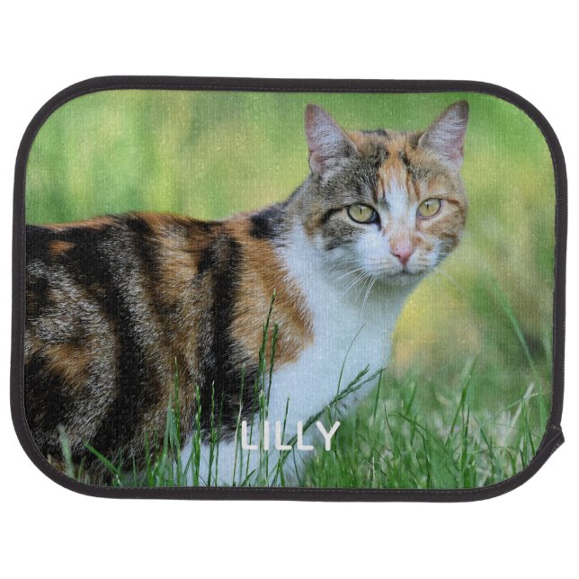 Brown and white cat car floor mat (Rear)