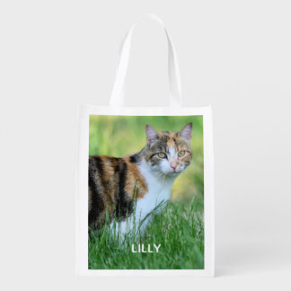 Brown and white cat grocery bag