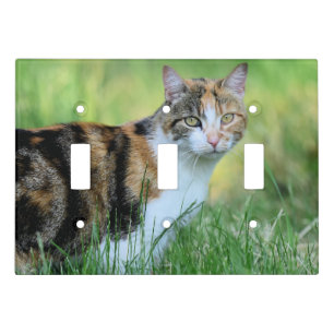 Brown and white cat light switch cover