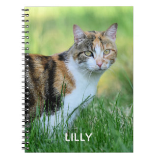 Brown and white cat notebook