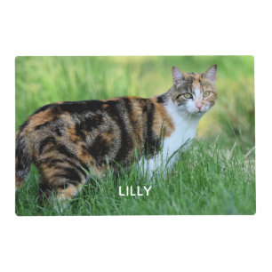 Brown and white cat placemat