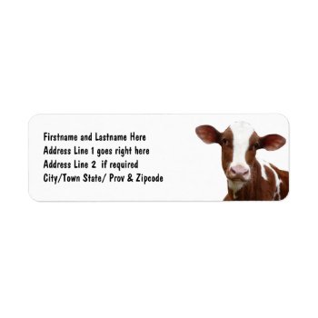 Brown And White Dairy Cow Label by CountryCorner at Zazzle