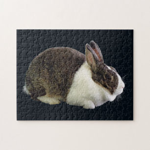 Brown and White Dutch Rabbit Jigsaw Puzzle