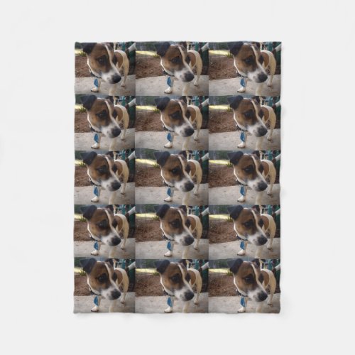 Brown And White Fox Miniature Terrier Fleece Blanket