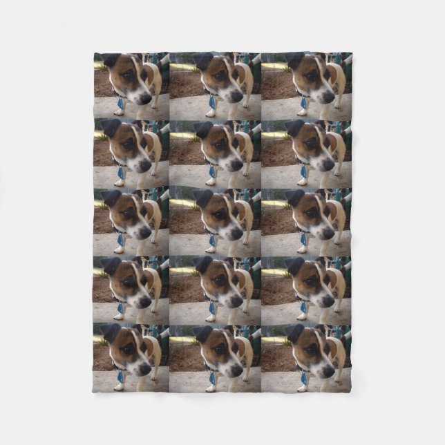 Brown And White Fox Miniature Terrier, Fleece Blanket (Front)
