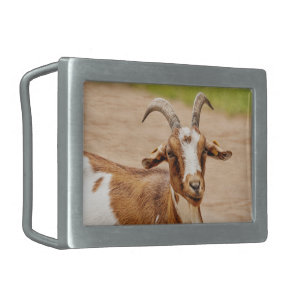 Brown and White Goat Belt Buckle