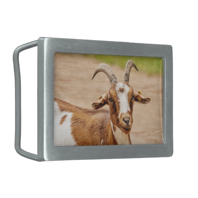 Brown and White Goat Belt Buckle (Front Left)