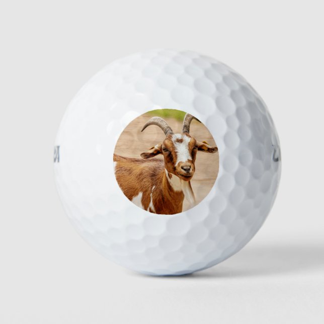 Brown and White Goat Golf Balls (Front)