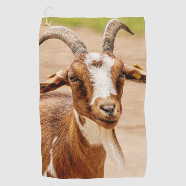 Brown and White Goat Golf Towel (Front)