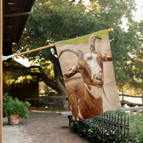Brown and White Goat House Flag