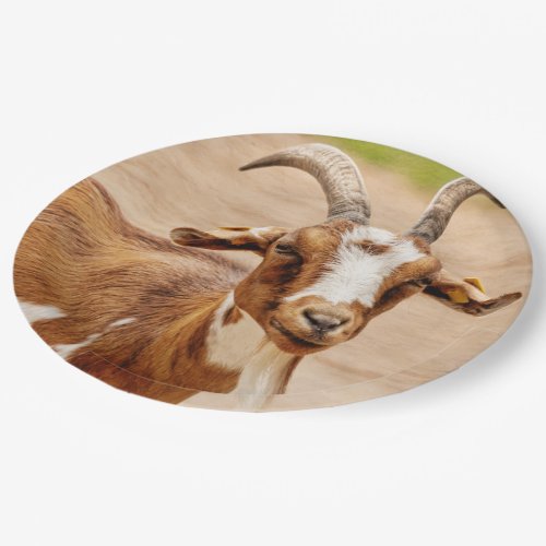 Brown and White Goat Paper Plates