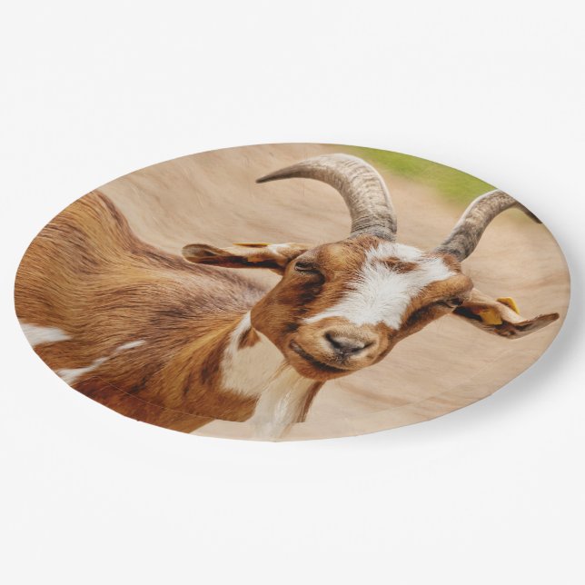 Brown and White Goat Paper Plates (Angled)