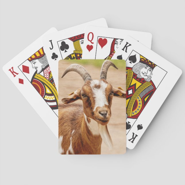Brown and White Goat Poker Cards (Back)