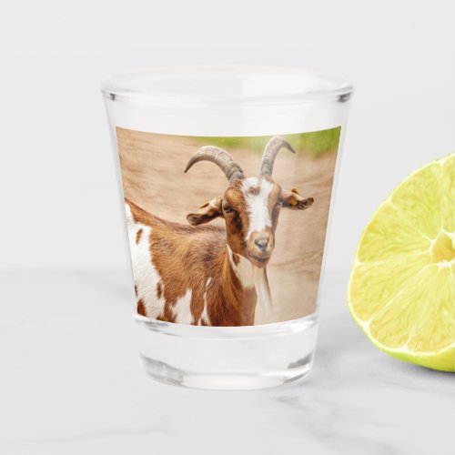 Brown and White Goat Shot Glass