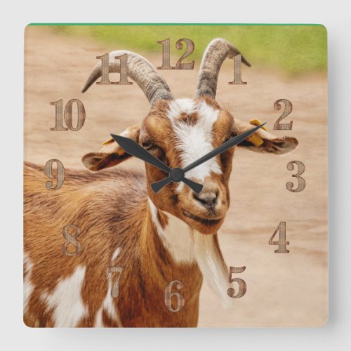 Brown and White Goat Square Wall Clock
