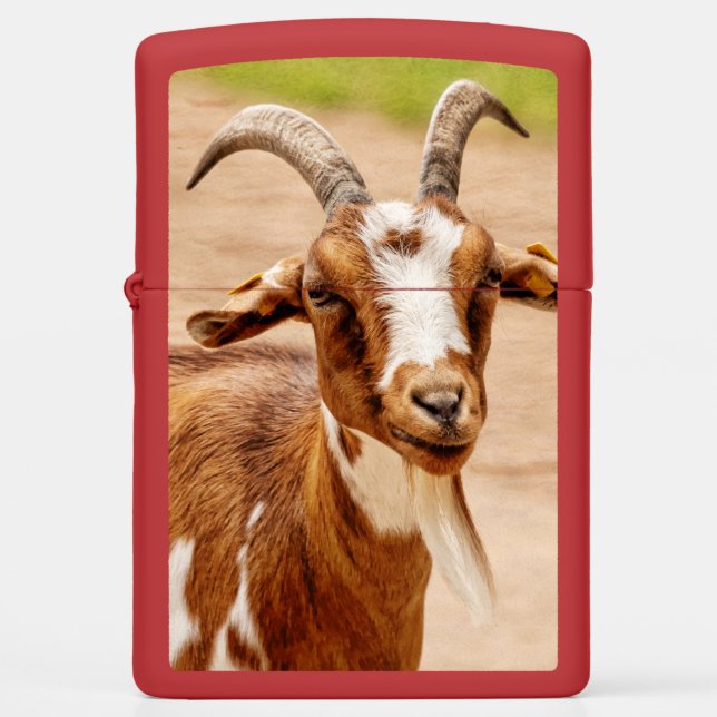 Brown and White Goat Zippo Lighter (Front)