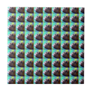 Brown And White Guinea Pig Brick Pattern, Ceramic Tile