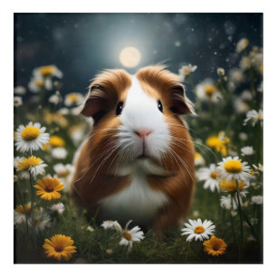 Brown And White Guinea Pig Moon And Daisies, Acrylic Print