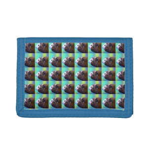 Brown And White Guinea Pigs, Tri-fold Wallet