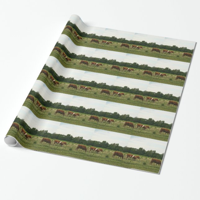 Brown and White Hereford Cattle Wrapping Paper (Unrolled)