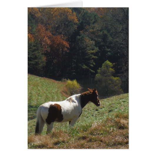 Brown and white horse at autumn pond (Front)