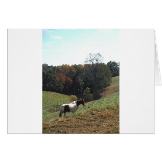Brown and white horse at autumn pond (Front Horizontal)